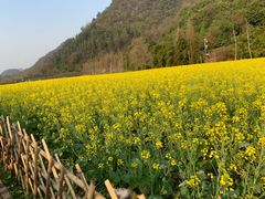 -贵阳市花溪国家城市湿地公园