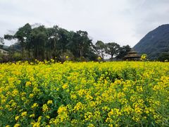 -广州市石门国家森林公园