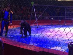 -西安秦岭野生动物园