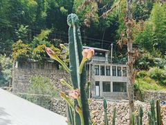 -MOJ coffee(瓯海泽雅水碓坑店)