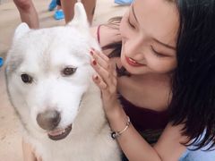 -TrueLove @ Neverland (Husky Cafe)