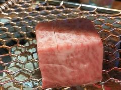 -黑牛の店·黑金店(沈阳万象城店)