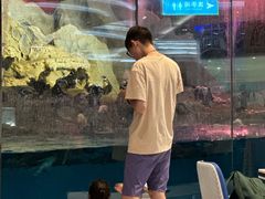 -帝企鹅自助餐厅•儿童岛•真企鹅(长隆企鹅酒店)