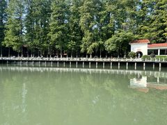 -袁大头包子(光华路店)