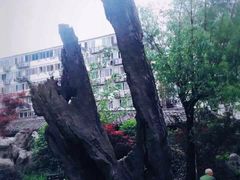 -绳金塔