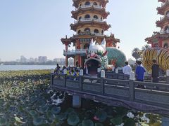 -龙虎塔