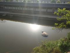 -东坡赤壁风景名胜区