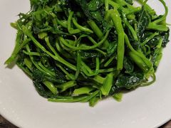 -洞庭渔人(沙湾店)