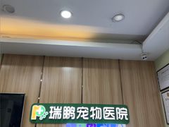 -瑞鹏宠物医院·夜间急症·心超·猫科(祖庙分店)