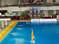 -重庆市奥林匹克体育中心-游泳跳水馆