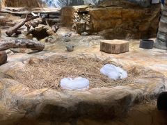 -香港海洋公园