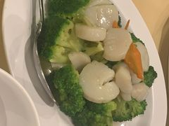 -文兴酒家(Chinatown - Gerrard Street)