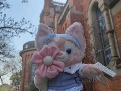 -上海佘山国家森林公园西佘山园