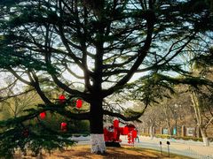 -青岛德国总督楼旧址博物馆