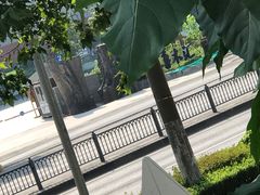 -苔圣园酒家(尊木汇国际艺术广场店)