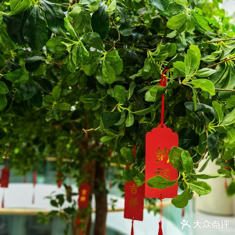 打卡重庆最“壕”月子中心 | 玫瑰馨苑孕产中心[礼花]