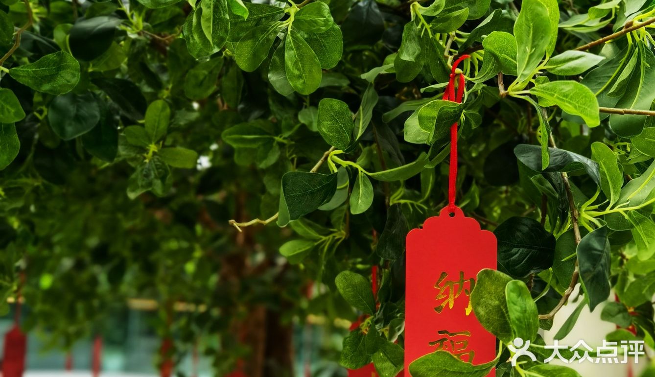 打卡重庆最“壕”月子中心 | 玫瑰馨苑孕产中心[礼花]
