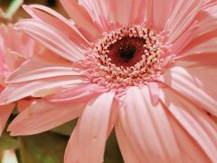 -海底捞火锅(群光广场店)