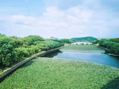 -上海市保健医疗中心