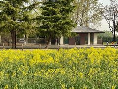 -汉长安城未央宫国家考古遗址公园