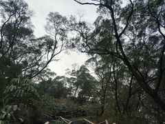 -金鸡山公园
