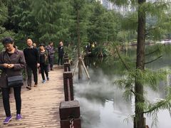 -重庆彩云湖湿地公园