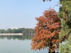 -海珠湖公园