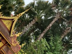 -西双版纳总佛寺