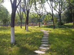 -莲花池公园