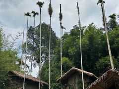 -海南槟榔谷黎苗文化旅游区