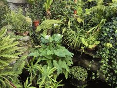 -国家植物园南园