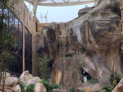 -杭州开元森泊度假乐园