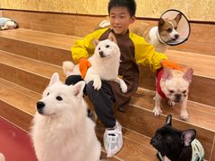 -和它·交个朋友·狗咖猫咖(爱琴海店)