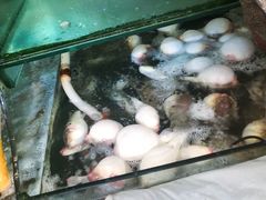 -众彩物流水产市场