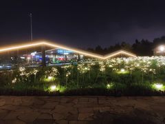 -莫子山·云中食街