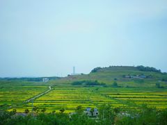 -恋山坝上草原