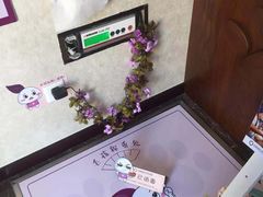 -宠爱国际动物医院·疑难骨科·心肾内科·皮肤科(太阳宫店)