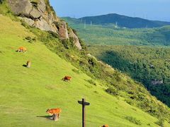-大姆山草场