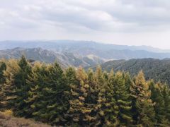 -苏木山森林公园