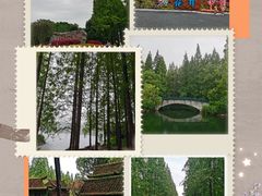 -东平国家森林公园