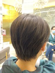 -潘多拉Hairsalon