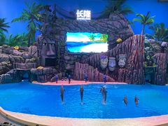 -珠海长隆海洋王国