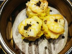 -糖朝(尖沙咀店)