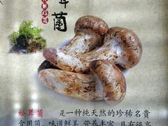 -大理董·董家小厨野生菌火锅(古城旗舰店)