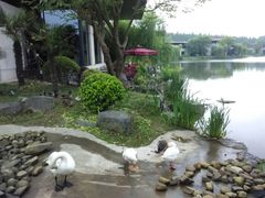 android_upload_pic-上海怡沁园度假酒店
