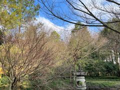 -慧因高丽寺