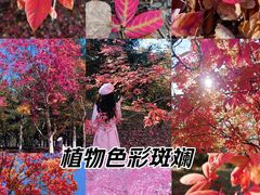 -长春世界雕塑园冰雪艺术天地