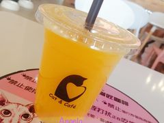 喵鲜橙-喵匠猫主题咖啡(凯德和平广场店)