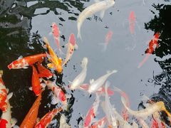 -聚福宝合苑食府(南头镇店)