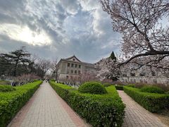 -山东师范大学(千佛山校区)